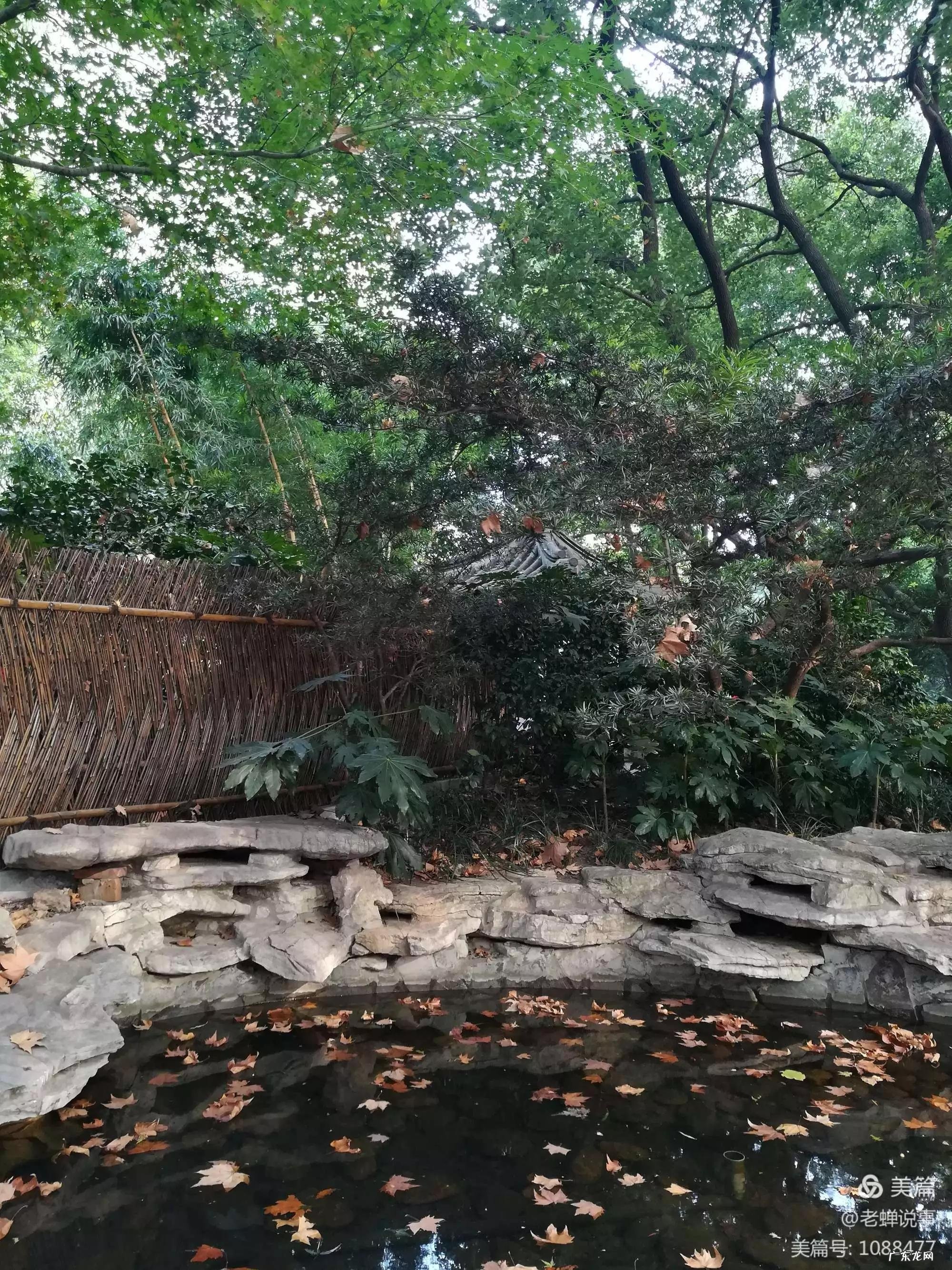 上海静安寺附近景点 静安寺周边好玩的地方