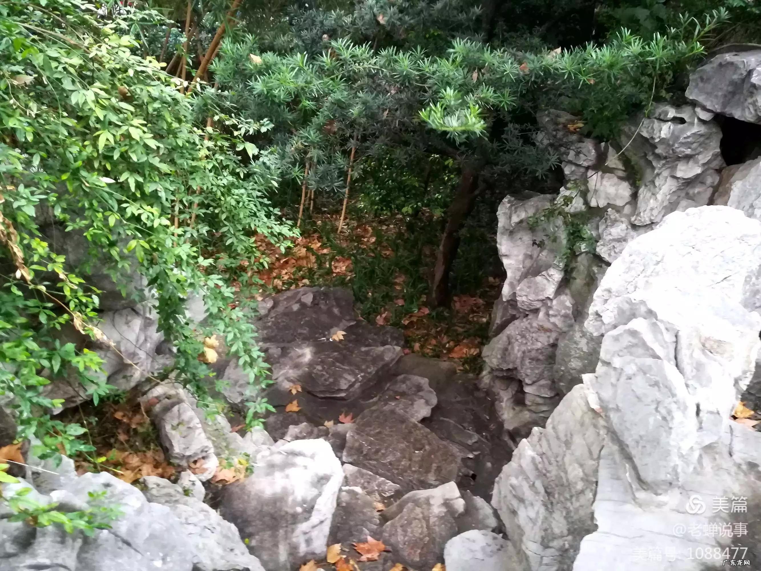 上海静安寺附近景点 静安寺周边好玩的地方