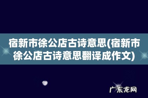 宿新市徐公店古诗意思翻译成作文 宿新市徐公店古诗意思