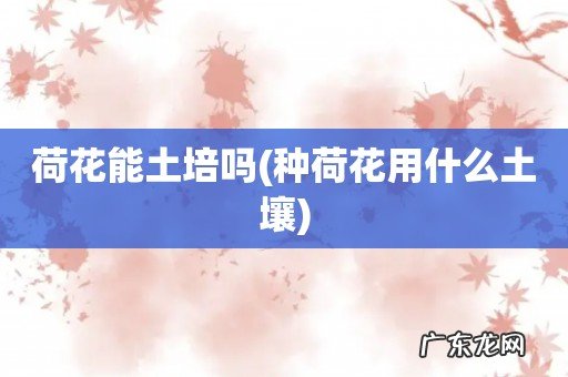 种荷花用什么土壤 荷花能土培吗