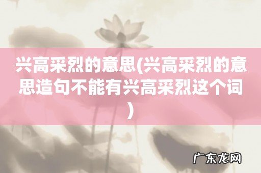 兴高采烈的意思造句不能有兴高采烈这个词 兴高采烈的意思