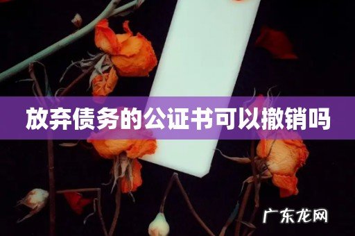 放弃债务的公证书可以撤销吗