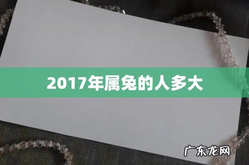 2017年属兔的人多大