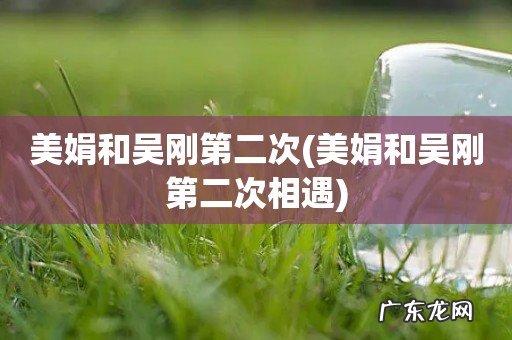 美娟和吴刚第二次相遇 美娟和吴刚第二次