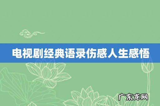 电视剧经典语录伤感人生感悟