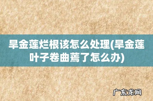旱金莲叶子卷曲蔫了怎么办 旱金莲烂根该怎么处理