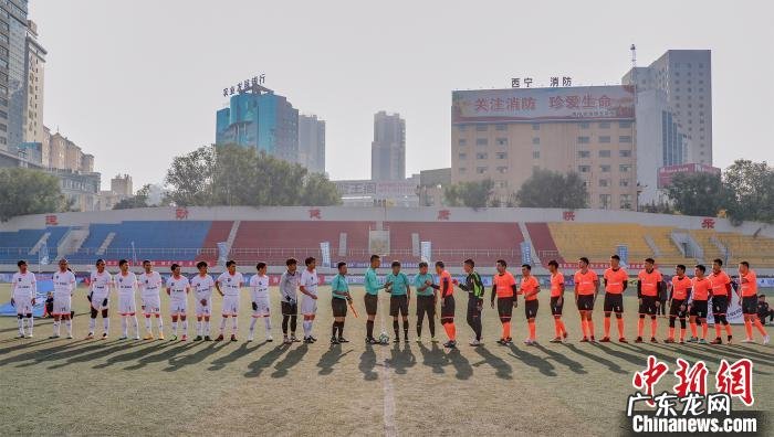 和泓桃李春风 海鸿桃李春风水杯