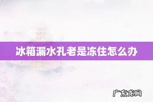 冰箱漏水孔老是冻住怎么办