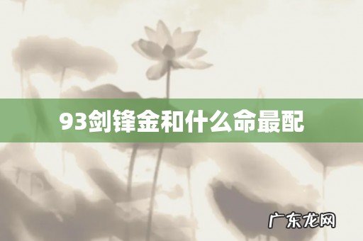 93剑锋金和什么命最配