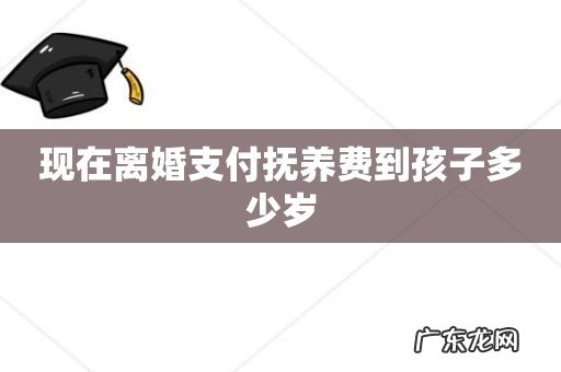 现在离婚支付抚养费到孩子多少岁