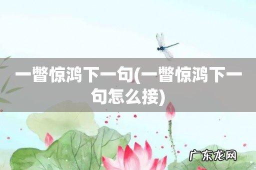 一瞥惊鸿下一句怎么接 一瞥惊鸿下一句