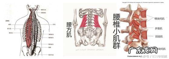 久坐导致腰疼,怎么恢复 因为久坐腰疼怎么缓解