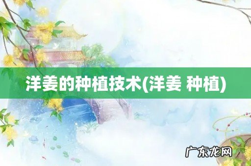 洋姜 种植 洋姜的种植技术