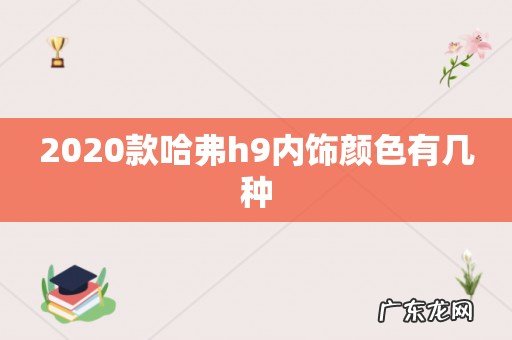 2020款哈弗h9内饰颜色有几种