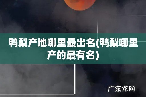 鸭梨哪里产的最有名 鸭梨产地哪里最出名