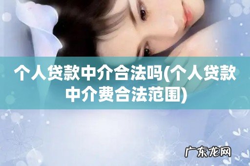 个人贷款中介费合法范围 个人贷款中介合法吗