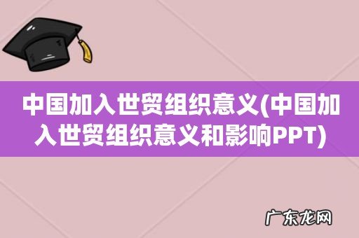 中国加入世贸组织意义和影响PPT 中国加入世贸组织意义