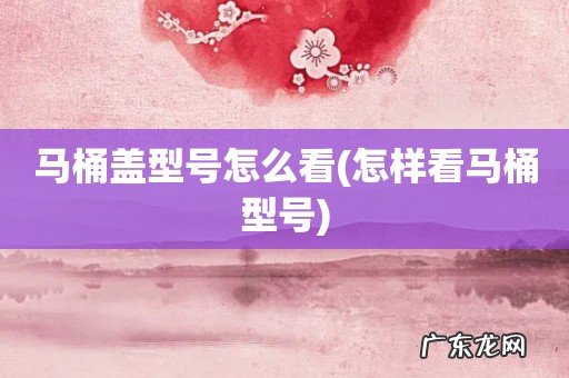 怎样看马桶型号 马桶盖型号怎么看