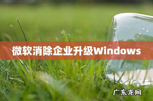微软消除企业升级Windows