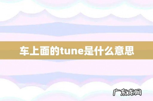 车上面的tune是什么意思
