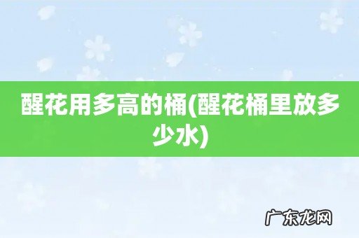 醒花桶里放多少水 醒花用多高的桶