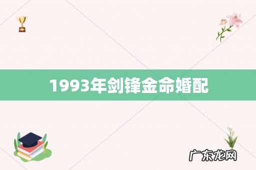 1993年剑锋金命婚配