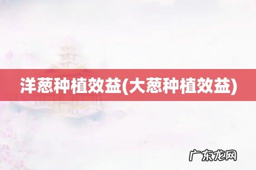 大葱种植效益 洋葱种植效益