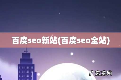 百度seo全站 百度seo新站