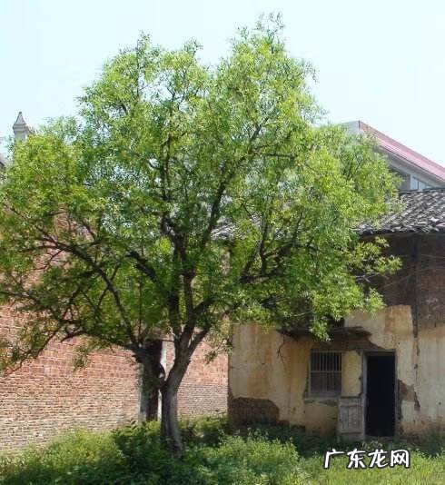 风水先生说的话准吗 风水先生会故意说错吗