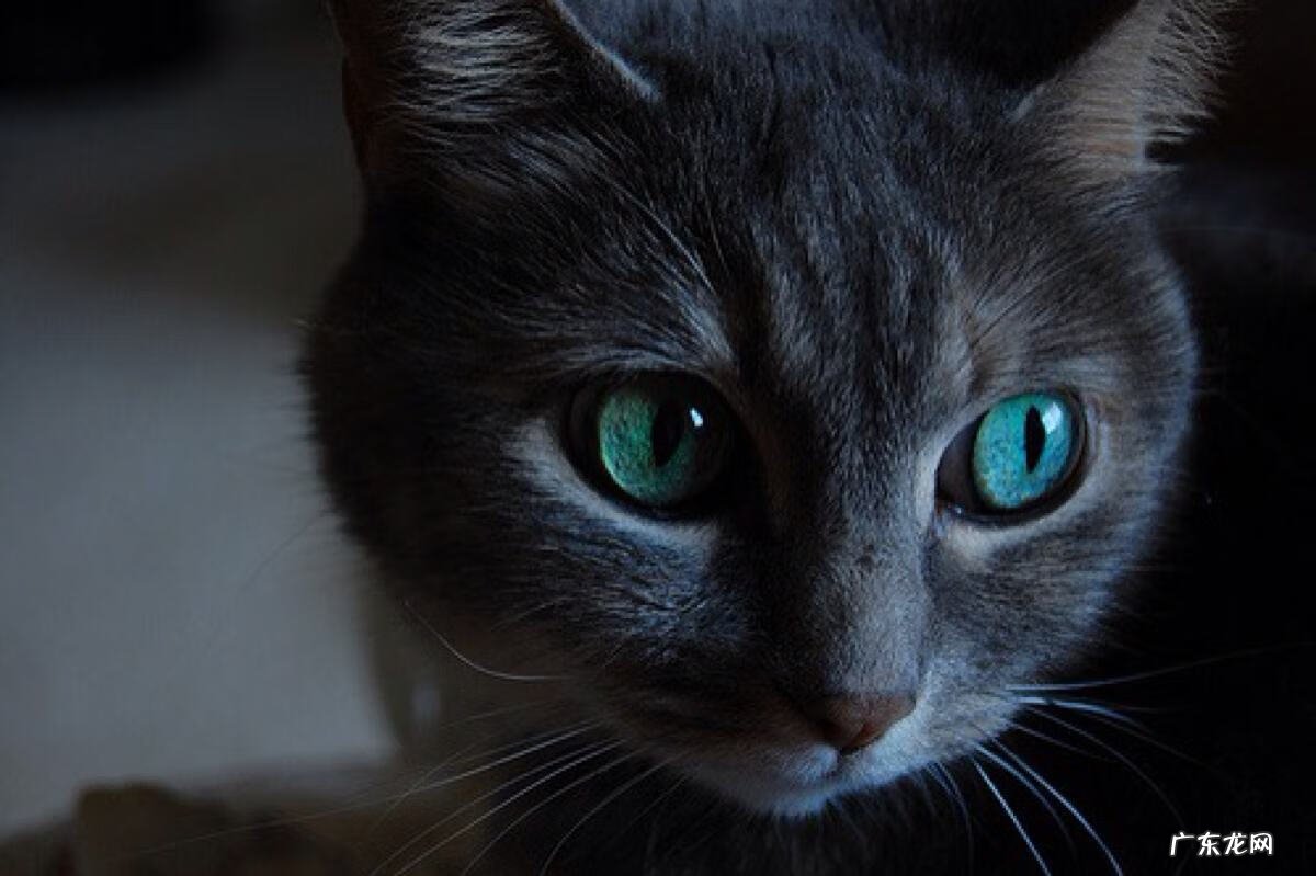 风水先生说的话准吗 风水先生会故意说错吗