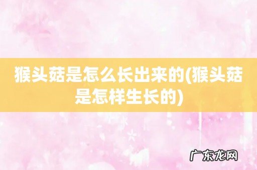 猴头菇是怎样生长的 猴头菇是怎么长出来的