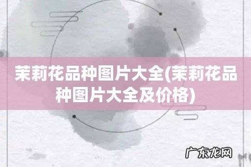 茉莉花品种图片大全及价格 茉莉花品种图片大全