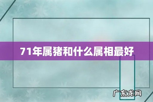 71年属猪和什么属相最好