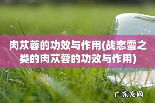 战恋雪之类的肉苁蓉的功效与作用 肉苁蓉的功效与作用