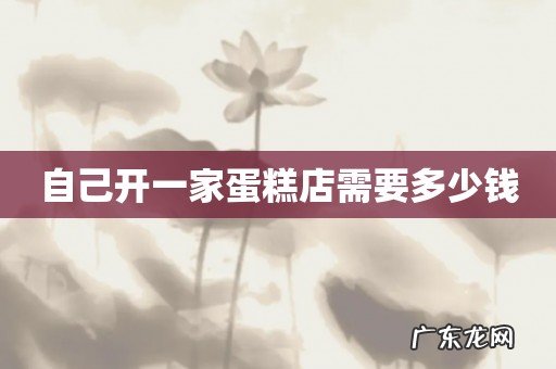 自己开一家蛋糕店需要多少钱