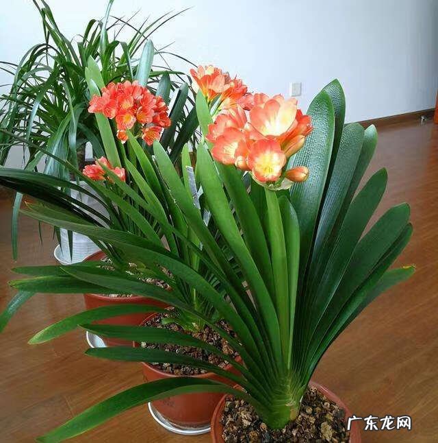 招财好运的网名大全 招财好运的微信网名