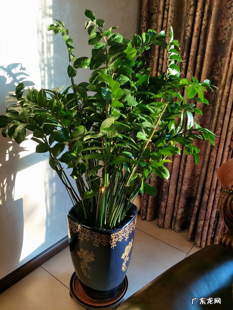 招财好运的网名大全 招财好运的微信网名