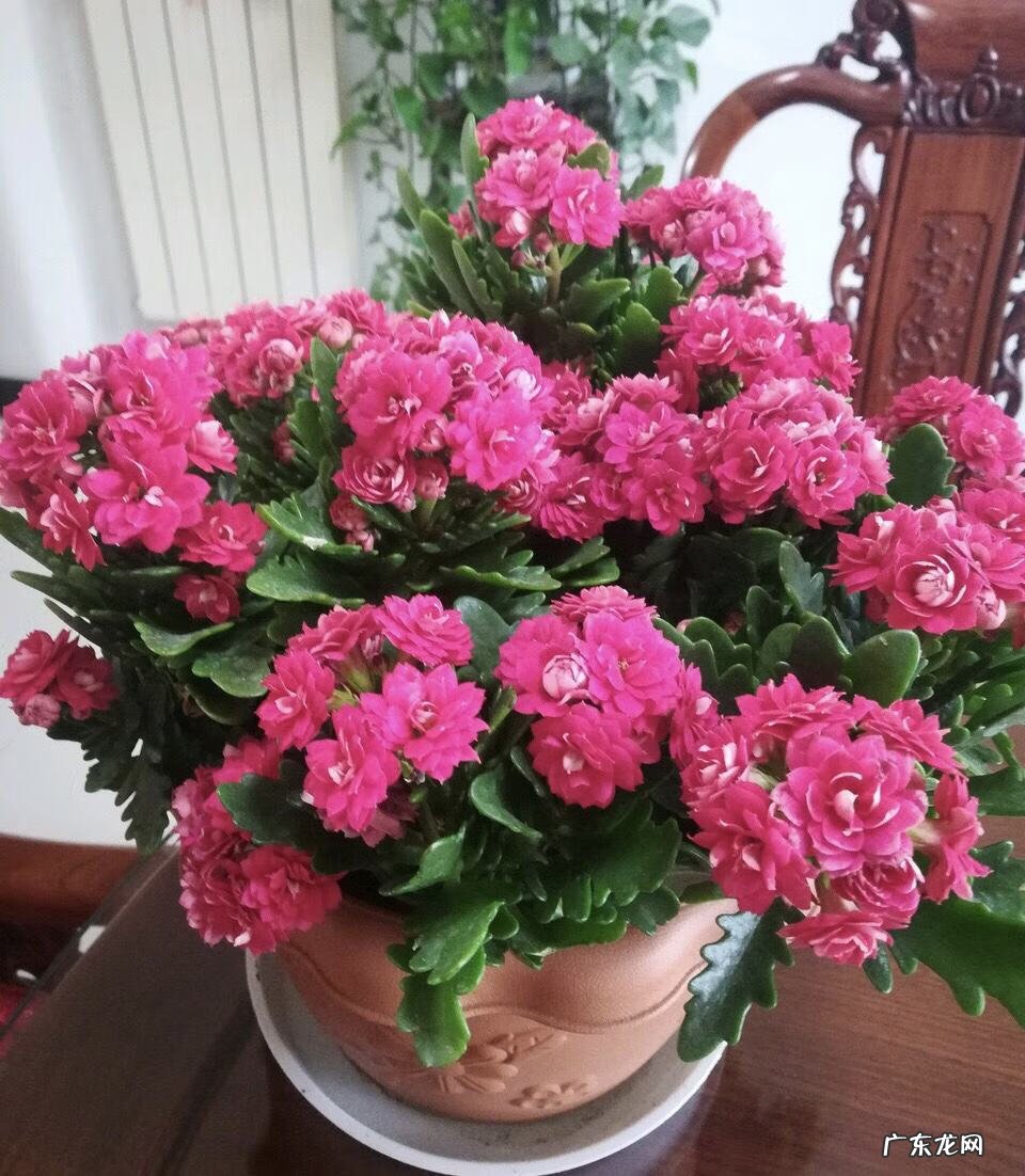 招财好运的网名大全 招财好运的微信网名