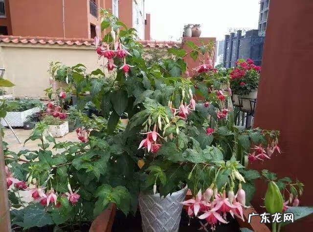 招财好运的网名大全 招财好运的微信网名