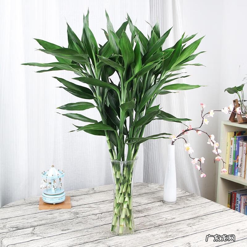 招财好运的网名大全 招财好运的微信网名