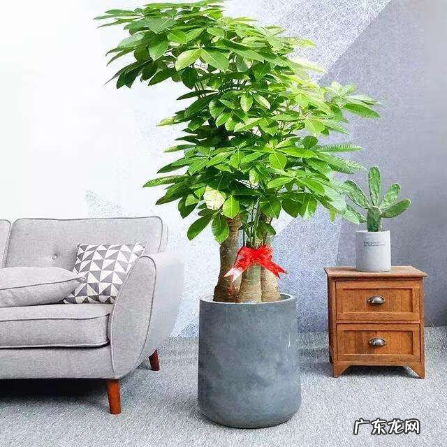 招财好运的网名大全 招财好运的微信网名