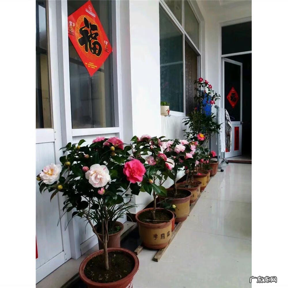 招财好运的网名大全 招财好运的微信网名