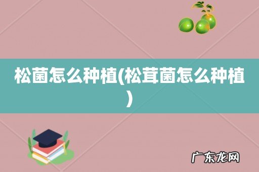 松茸菌怎么种植 松菌怎么种植