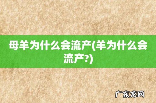 羊为什么会流产? 母羊为什么会流产