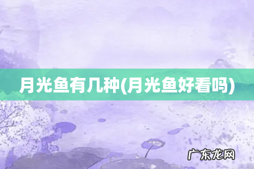 月光鱼好看吗 月光鱼有几种