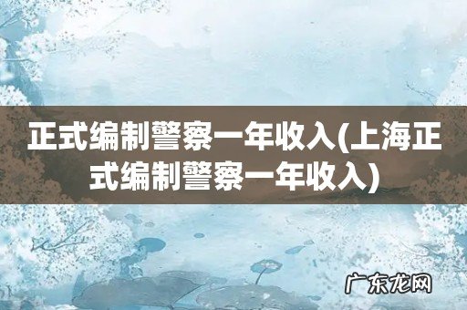 上海正式编制警察一年收入 正式编制警察一年收入