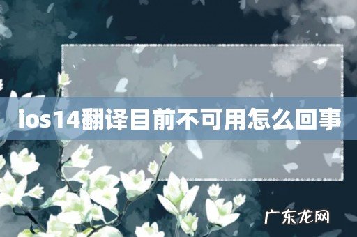 ios14翻译目前不可用怎么回事