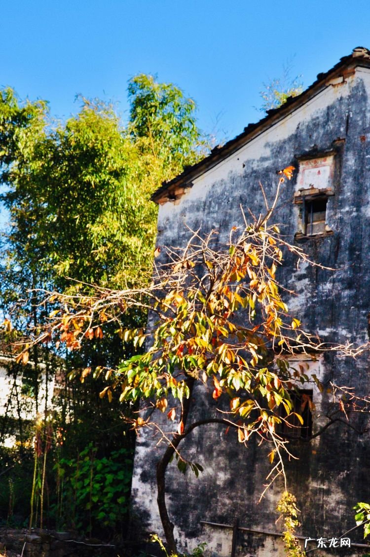 风水古代又称之为 古代风水的别称