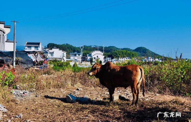 风水古代又称之为 古代风水的别称
