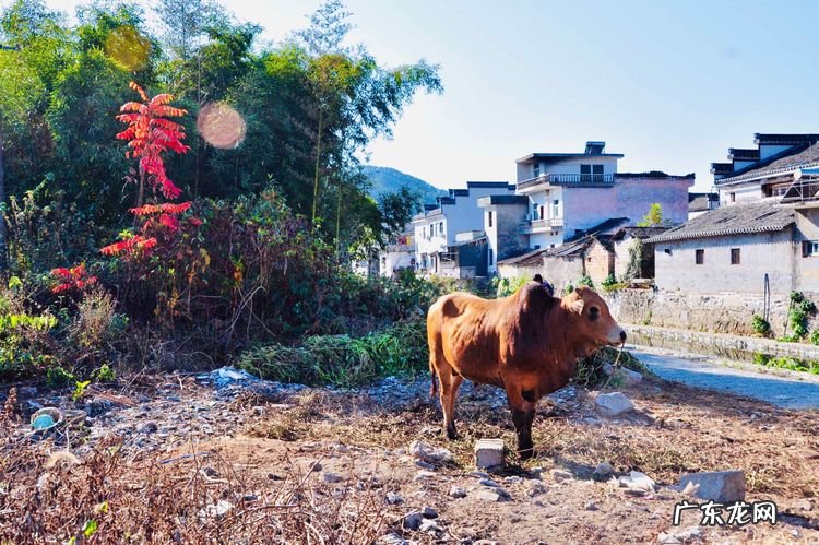 风水古代又称之为 古代风水的别称